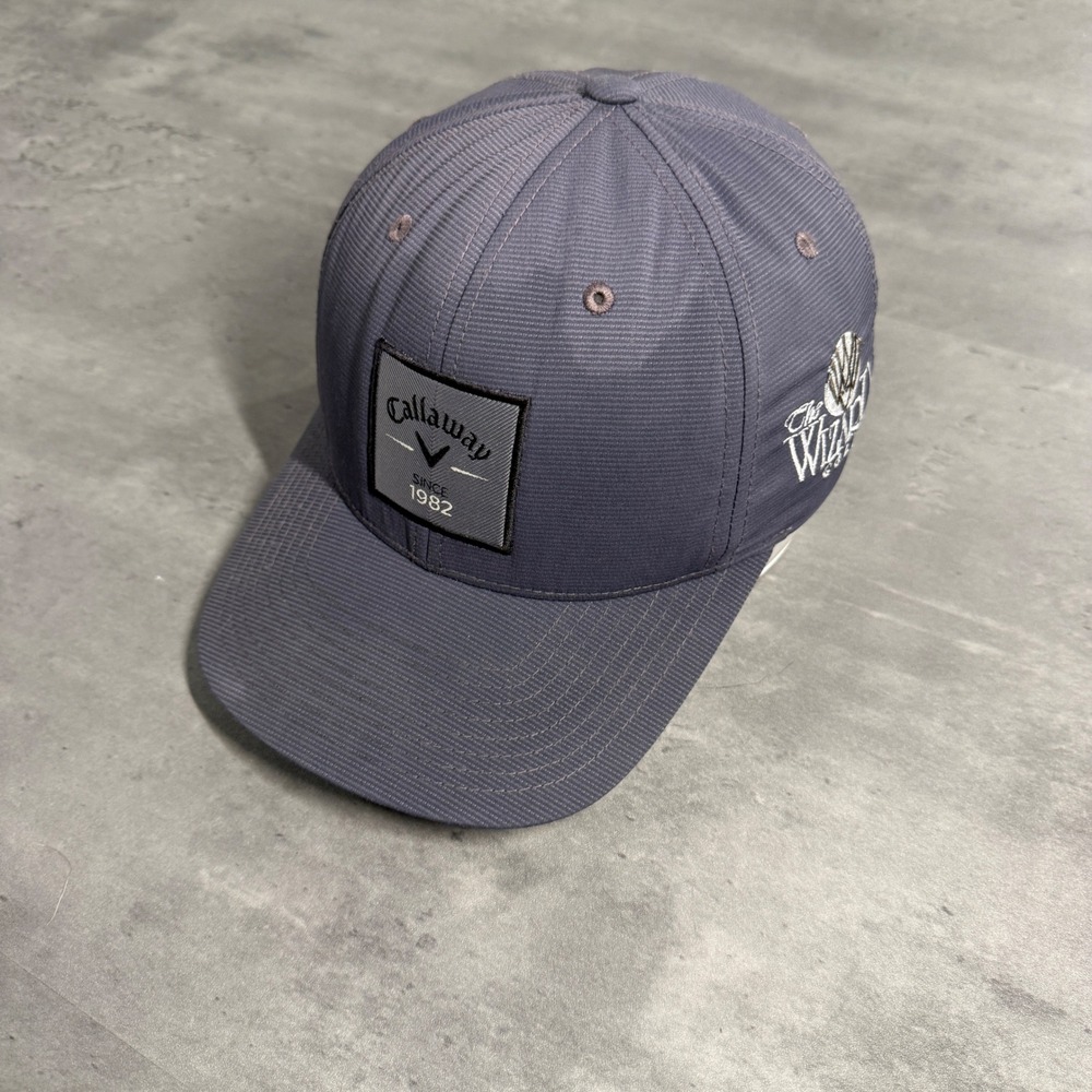 Callaway Golf Hat Men Grey The Wizard Golf Snapback Flexfit 110 Cap Myrtle Beach